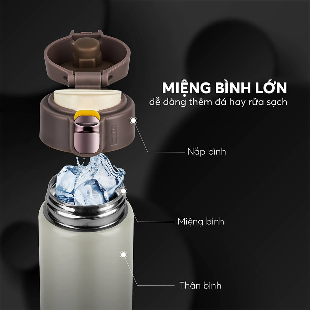 binhgiunhietelmich8295_6
