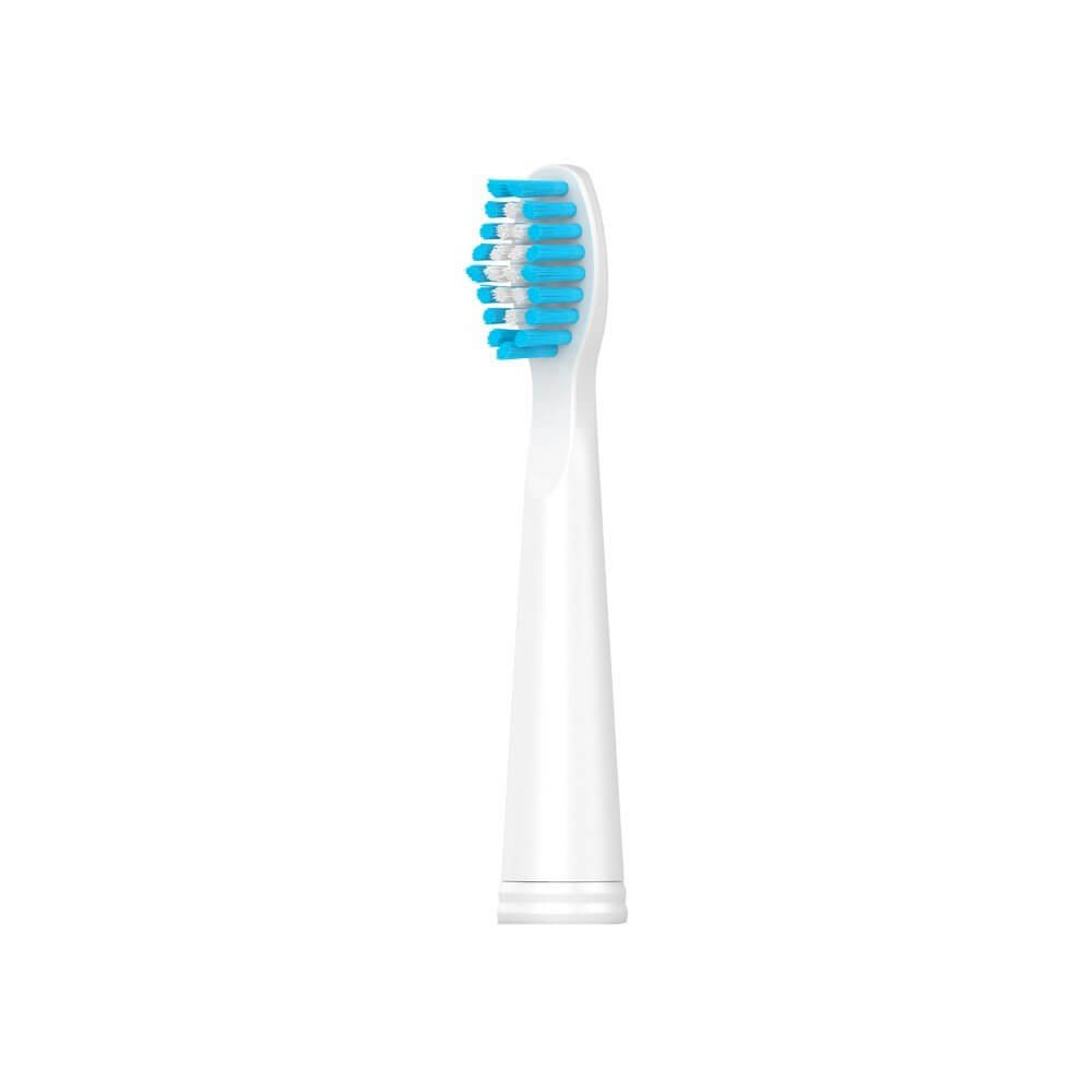 Đầu bản chải điện Elmich thay thế của TBE-8453BK/WT/BE