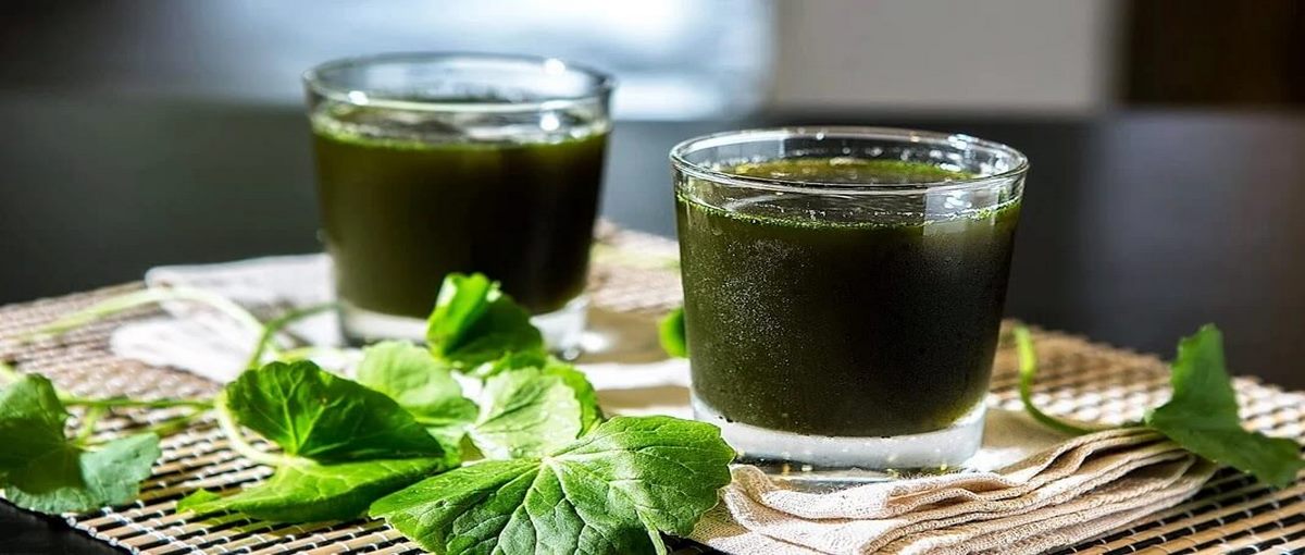 4 công thức nước ép rau má đơn giản, ngon miệng