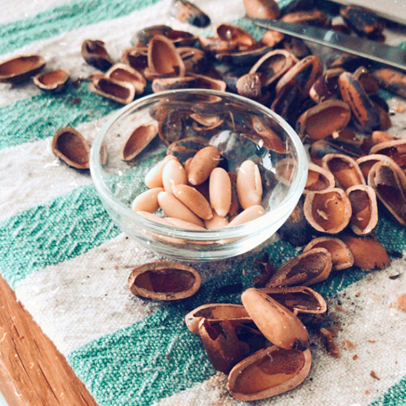 Sơ chế hạt thông khá đơn giản