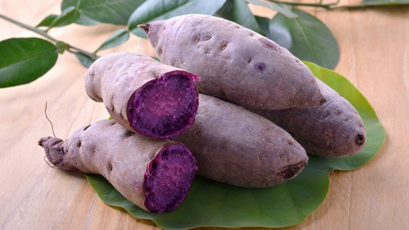 Cách chọn mua khoai lang tím