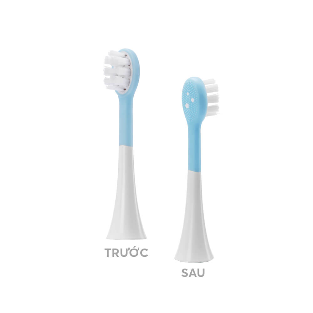 Đầu bản chải điện Elmich thay thế của TBE-8459BE