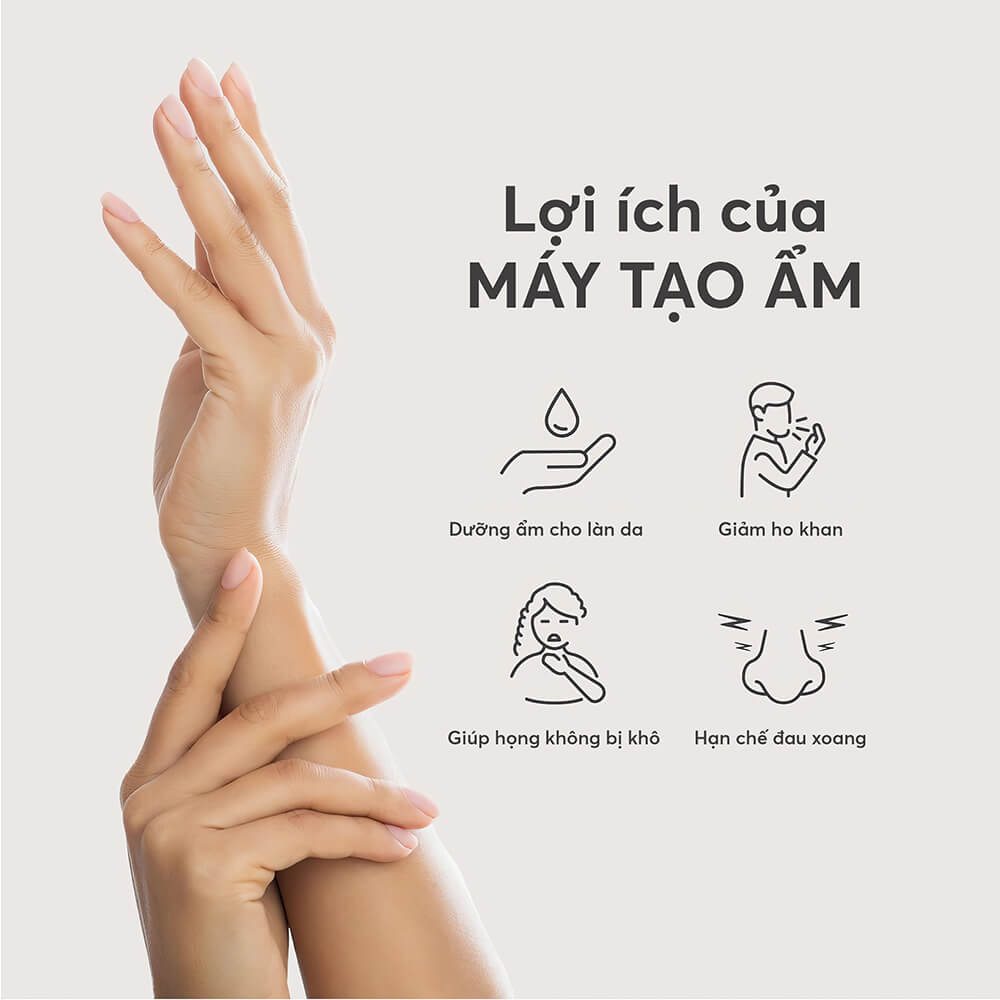 May Tao Am He 8583 Profile 03