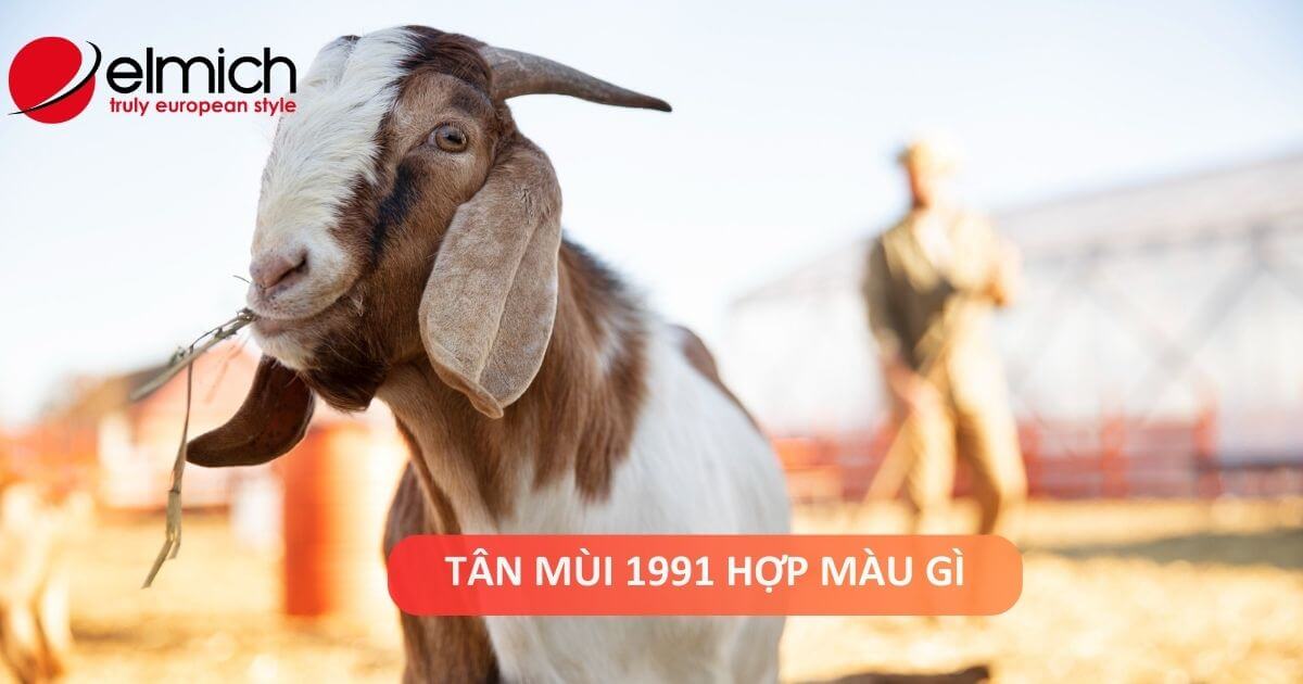 Tuổi Tân Mùi 1991 mệnh gì, hợp màu gì và kỵ màu gì?