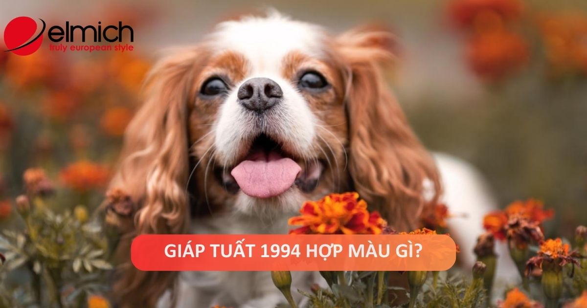 Tuổi Giáp Tuất sinh năm1994 mệnh gì, hợp màu gì?