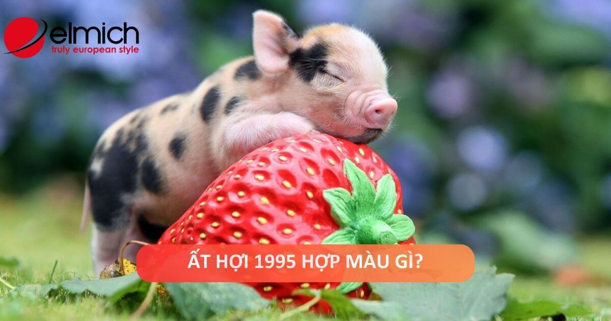 Tuổi Ất Hợi sinh năm 1995 mệnh gì, hợp màu gì?