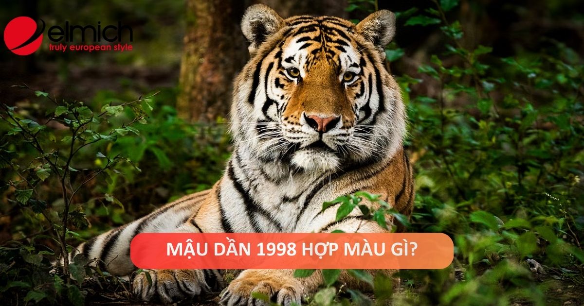 Tuổi Mậu Dần sinh năm 1998 mệnh gì, hợp màu gì?