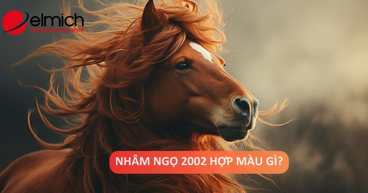 Người tuổi Nhâm Ngọ 2002 hợp màu gì và nên tránh màu gì?