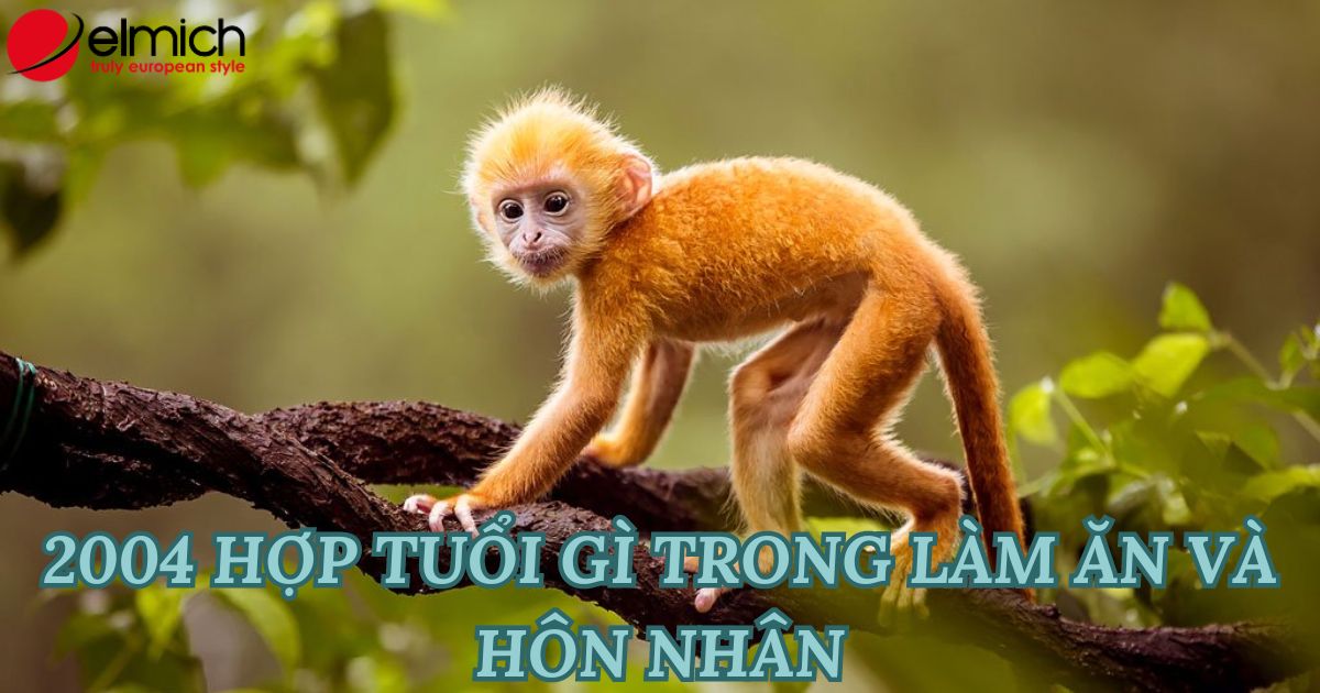 Tuổi Giáp Thân 2004 hợp tuổi gì trong làm ăn và hôn nhân
