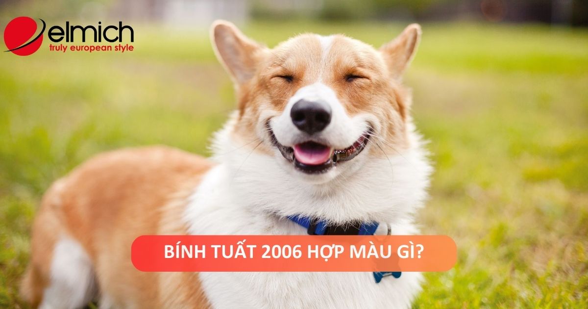 Người sinh năm 2006 tuổi Bính Tuất mệnh gì, hợp màu gì?