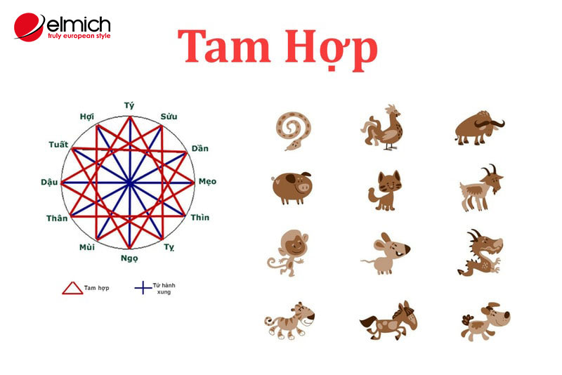 Hình 1: Tam hợp chia thành 4 nhóm, là những con giáp có sự tương đồng về vận mệnh, tính cách, quan niệm sống Hình 1: Tam hợp chia thành 4 nhóm, là những con giáp có sự tương đồng về vận mệnh, tính cách, quan niệm sống