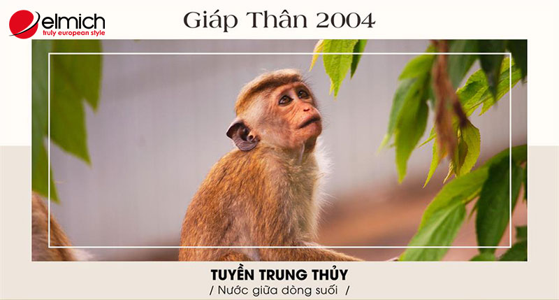 Hình 1: Nam, nữ sinh năm 2004 là tuổi Giáp Thân, là năm con khỉ Hình 1: Nam, nữ sinh năm 2004 là tuổi Giáp Thân, là năm con khỉ