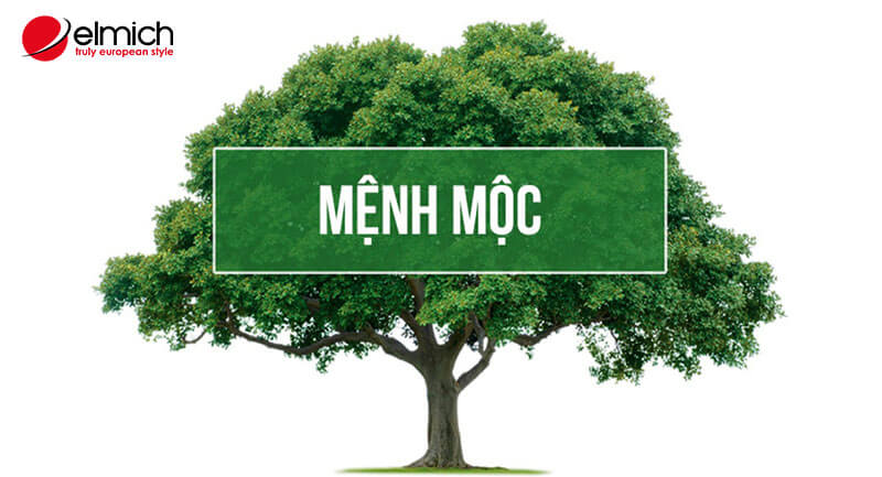 Hình 1: Người mệnh Mộc đa số có tính cách điềm tĩnh, ôn hòa, khiêm tốn, có trí tiến thủ, luôn nỗ lực để vươn lên trong cuộc sống Hình 1: Người mệnh Mộc đa số có tính cách điềm tĩnh, ôn hòa, khiêm tốn, có trí tiến thủ, luôn nỗ lực để vươn lên trong cuộc sống