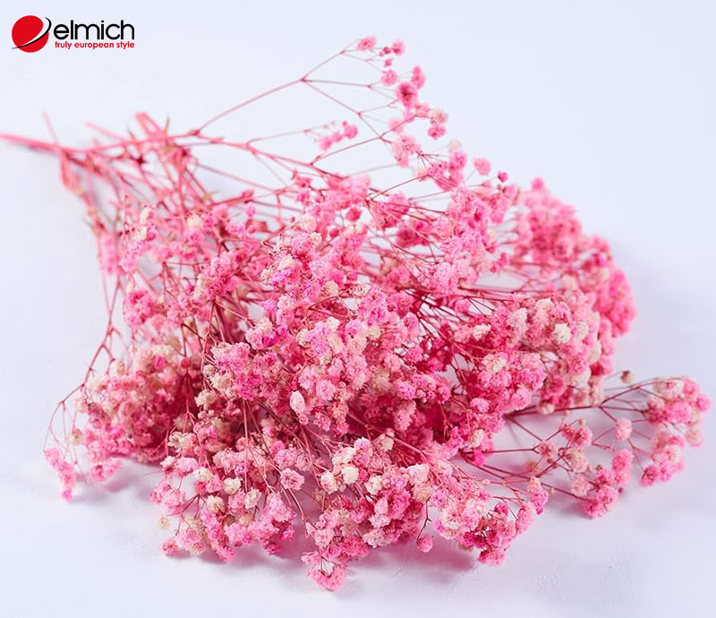 Hình 4: Hoa chibi hồng là món quà ý nghĩa dành cho cô gái mộng mơ, tinh tế Hình 4: Hoa chibi hồng là món quà ý nghĩa dành cho cô gái mộng mơ, tinh tế
