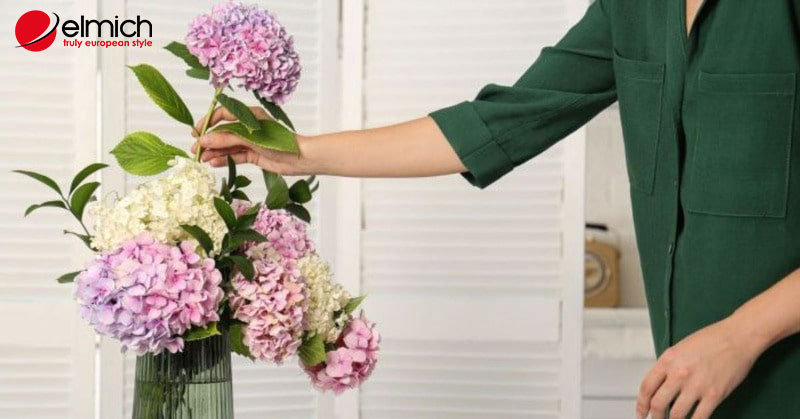 Hình 6: Hoa và lá của tú cầu có độc nên bạn cẩn thận nếu cắm hoa hoặc đặt chậu hoa này trong nhà Hình 6: Hoa và lá của tú cầu có độc nên bạn cẩn thận nếu cắm hoa hoặc đặt chậu hoa này trong nhà