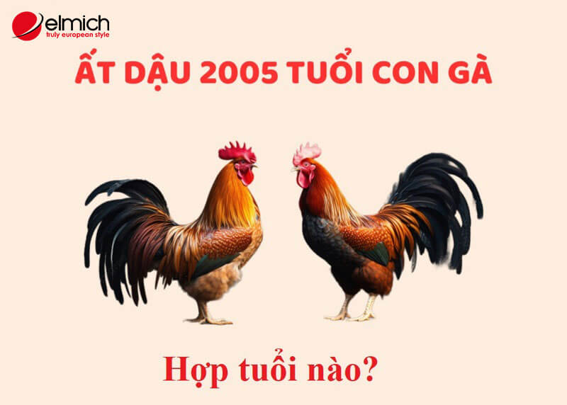Hình 6: Những tuổi hợp với 2005 Hình 6: Những tuổi hợp với 2005
