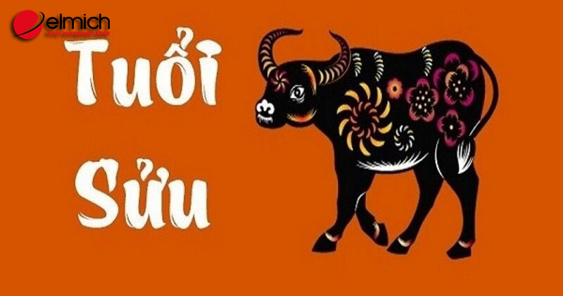 Hình 1: Người tuổi Sửu sinh năm bao nhiêu, thuộc mệnh gì? Hình 1: Người tuổi Sửu sinh năm bao nhiêu, thuộc mệnh gì?