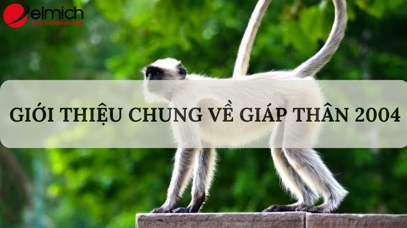 Hình 1: Giới thiệu chung về người tuổi Giáp Thân 2004 Hình 1: Giới thiệu chung về người tuổi Giáp Thân 2004
