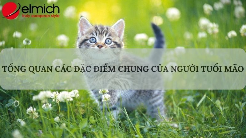 Hình 1: Giới thiệu chung về tính cách người tuổi Mão Hình 1: Giới thiệu chung về tính cách người tuổi Mão
