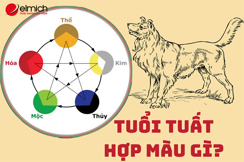 Hình 1: Tuổi Tuất hợp màu gì? Kỵ màu gì? Các cung mệnh của tuổi Tuất Hình 1: Tuổi Tuất hợp màu gì? Kỵ màu gì? Các cung mệnh của tuổi Tuất