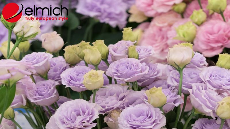 Hình 1: Bật mí nguồn gốc của hoa cát tường mà ít ai biết Hình 1: Bật mí nguồn gốc của hoa cát tường mà ít ai biết