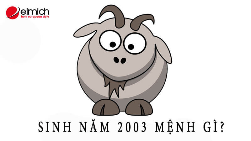 Hình 1: Những cá nhân sinh năm 2003 tuổi Quý Mùi thuộc mệnh Mộc Hình 1: Những cá nhân sinh năm 2003 tuổi Quý Mùi thuộc mệnh Mộc