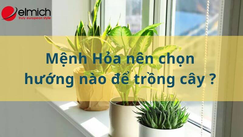 Hình 14: Hướng tốt nhất để người mệnh Hỏa trồng cây Hình 14: Hướng tốt nhất để người mệnh Hỏa trồng cây