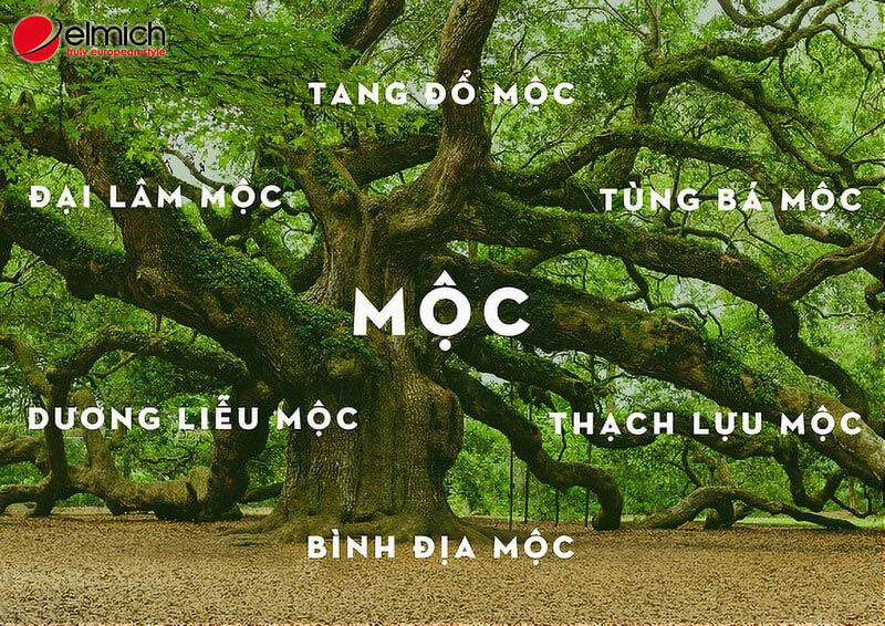 Hình 2: Các cung nạp trong mệnh Mộc Hình 2: Các cung nạp trong mệnh Mộc