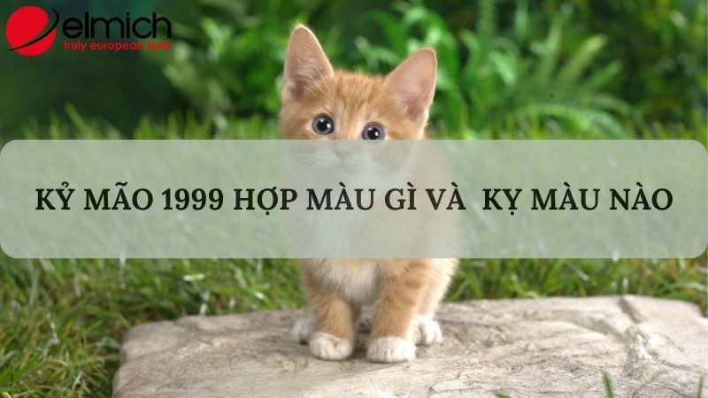 Hình 2: Tuổi mão hợp màu gì để thu hút nhiều tài lộc 2024 Hình 2: Tuổi mão hợp màu gì để thu hút nhiều tài lộc 2024