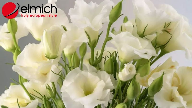 Hình 2: Đặc điểm sinh trưởng và nhận dạng của cát tường Hình 2: Đặc điểm sinh trưởng và nhận dạng của cát tường
