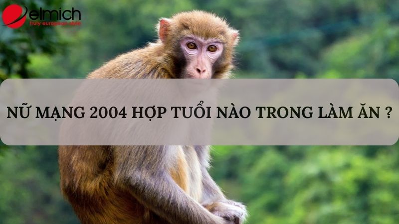 Hình 3: Nữ mạng 2004 nên chọn Đinh Sửu và Bính Tuất để làm ăn chung Hình 3: Nữ mạng 2004 nên chọn Đinh Sửu và Bính Tuất để làm ăn chung