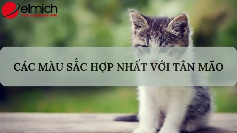 Hình 3: Tân Mão nên mang trang phục màu xanh lá để hóa giải điềm xui Hình 3: Tân Mão nên mang trang phục màu xanh lá để hóa giải điềm xui