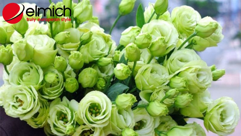 Hình 4: Mỗi màu sắc của hoa đều mang một thông điệp riêng Hình 4: Mỗi màu sắc của hoa đều mang một thông điệp riêng