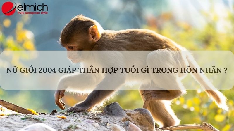 Hình 5: Nữ mạng 2004 nên chọn chồng Nhâm Ngọ hoặc Tân Tỵ Hình 5: Nữ mạng 2004 nên chọn chồng Nhâm Ngọ hoặc Tân Tỵ