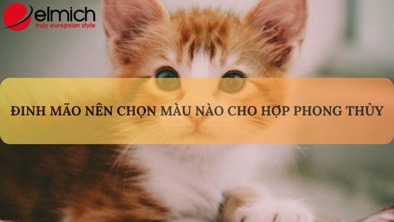 Hình 5: Gam màu nóng hợp phong thủy với người tuổi Đinh Mão Hình 5: Gam màu nóng hợp phong thủy với người tuổi Đinh Mão