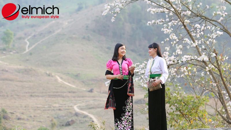 Hình 5: Cây ban có nhiều ứng dụng trong y học dân gian.