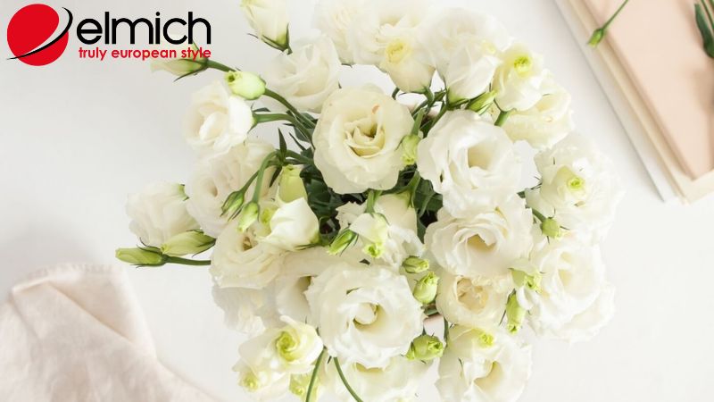 Hình 5: Mẹo giúp bạn cắm cắt tường giữ được lâu hơn Hình 5: Mẹo giúp bạn cắm cắt tường giữ được lâu hơn