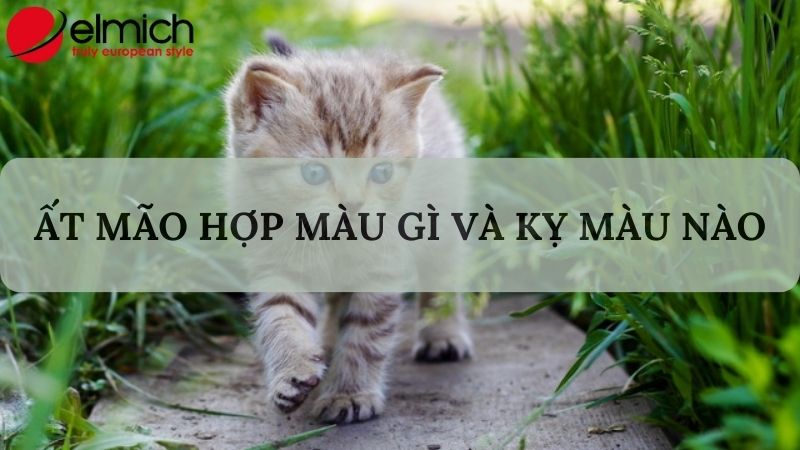 Hình 6: Ất Mão nên chọn màu hành Kim để làm tôn lên sự tinh tế của bản thân Hình 6: Ất Mão nên chọn màu hành Kim để làm tôn lên sự tinh tế của bản thân