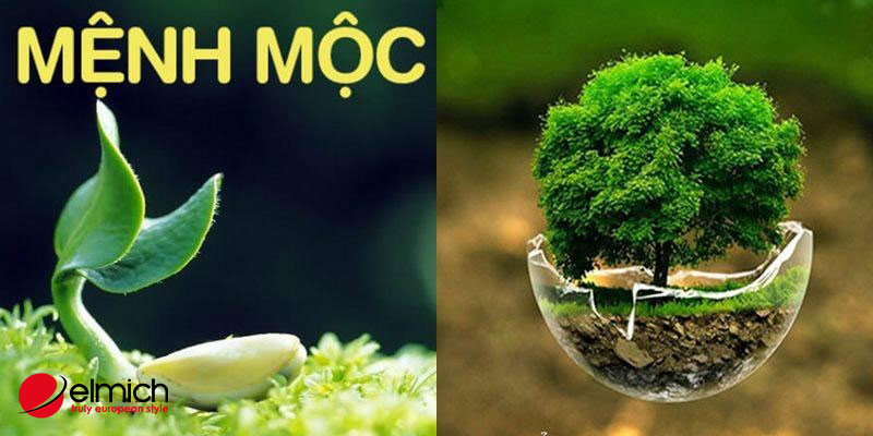 Hình 7: Màu xanh lá khiến cho vận khí của người sinh năm 1990 không được tốt Hình 7: Màu xanh lá khiến cho vận khí của người sinh năm 1990 không được tốt
