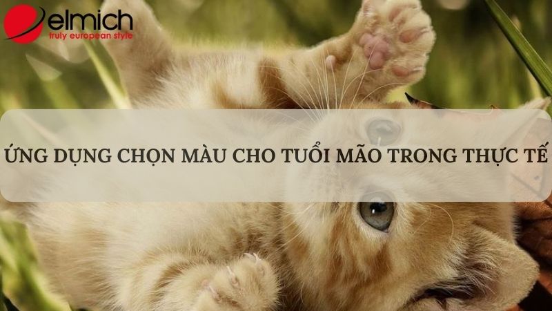 Hình 7: Một số trường hợp ứng dụng chọn màu hợp phong thủy cho tuổi Mão Hình 7: Một số trường hợp ứng dụng chọn màu hợp phong thủy cho tuổi Mão