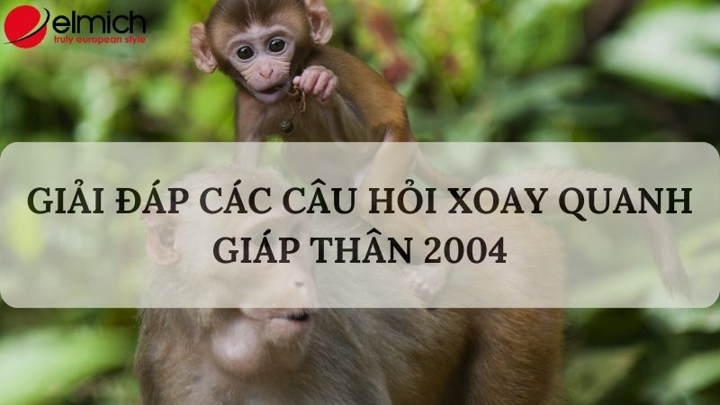 Hình 7: Một số vấn đề xoay tuổi Giáp Thân 2004 Hình 7: Một số vấn đề xoay tuổi Giáp Thân 2004