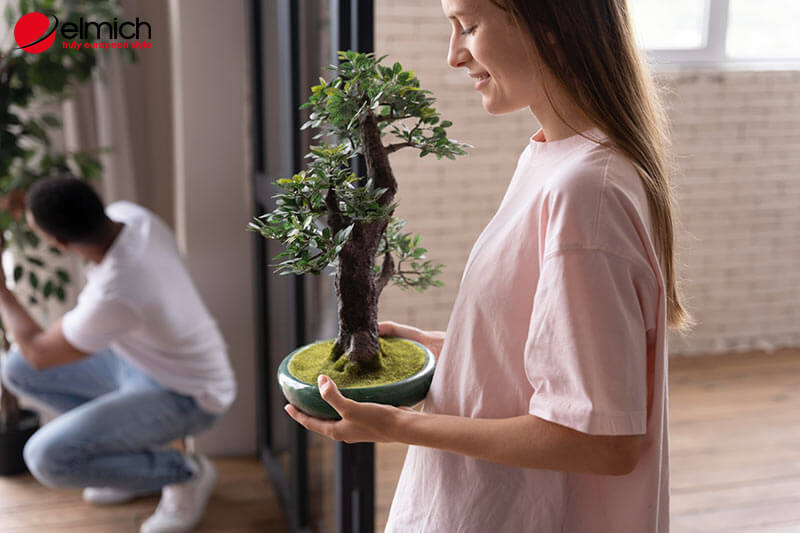 Hình 8: Hãy chọn những loại cây cảnh hợp mệnh Mộc Hình 8: Hãy chọn những loại cây cảnh hợp mệnh Mộc