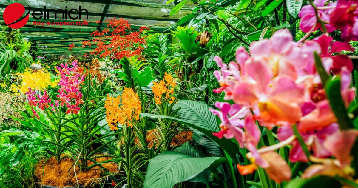 Hoa lan – Loài hoa độc đáo nhất trên thế giới với nhiều ý nghĩa sâu sắc