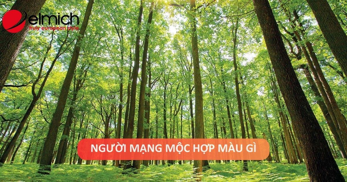 Mạng Mộc hợp màu gì? Chi tiết màu tương sinh tương khắc