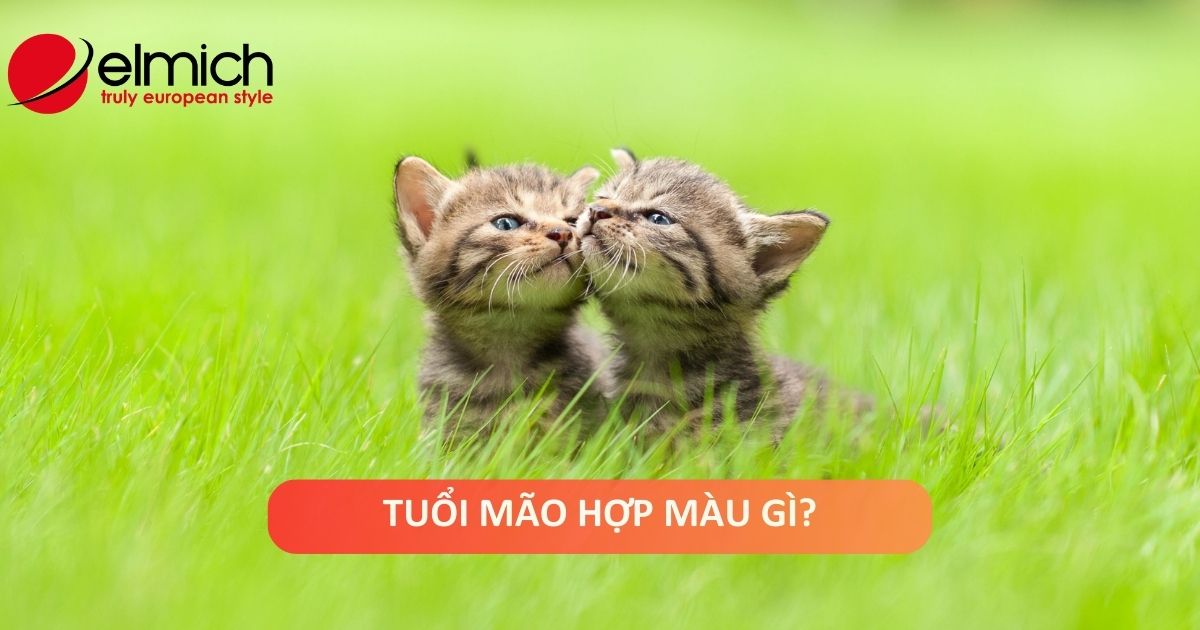 Bật mí tuổi Mão hợp màu gì để làm kéo may mắn và nêu bật cá tính