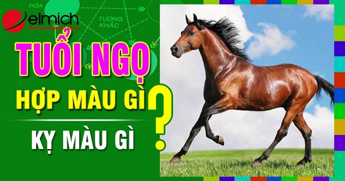 Bật mí chi tiết tuổi Ngọ hợp màu gì và kỵ màu nào 2024
