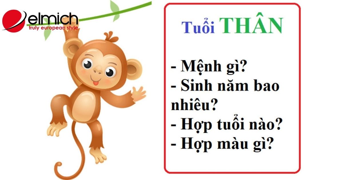 Tuổi Thân hợp màu gì, kỵ màu gì? Ứng dụng màu sắc giúp tuổi Thân hút tài lộc