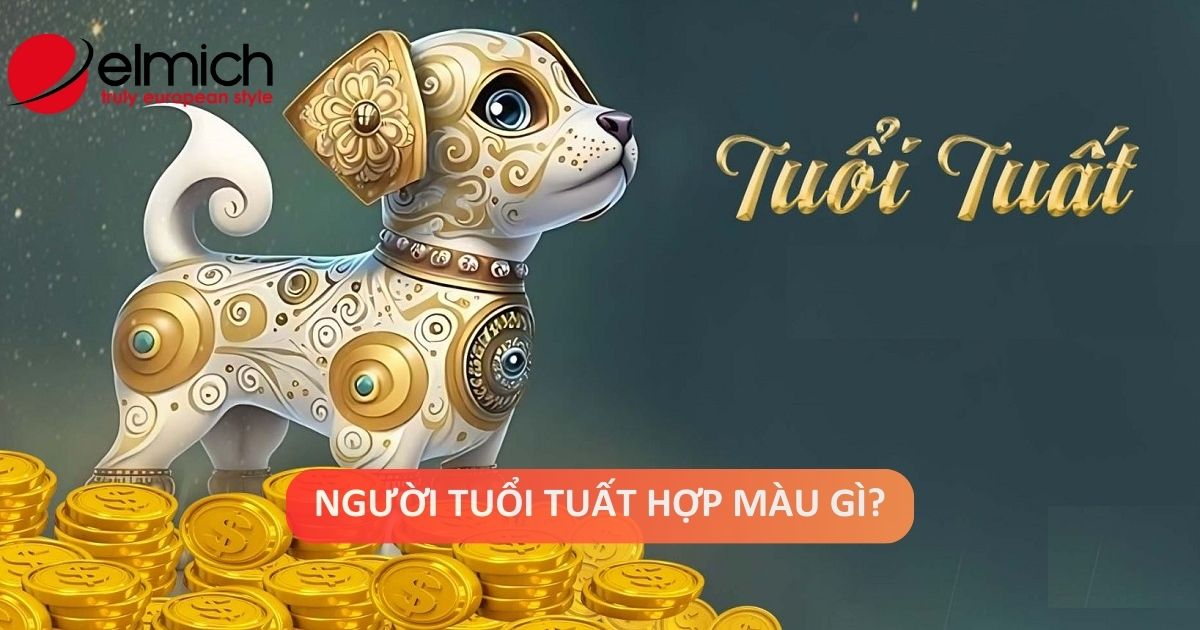 Tuổi Tuất hợp màu gì? Kỵ màu gì? Sự nghiệp và hôn nhân người tuổi Tuất