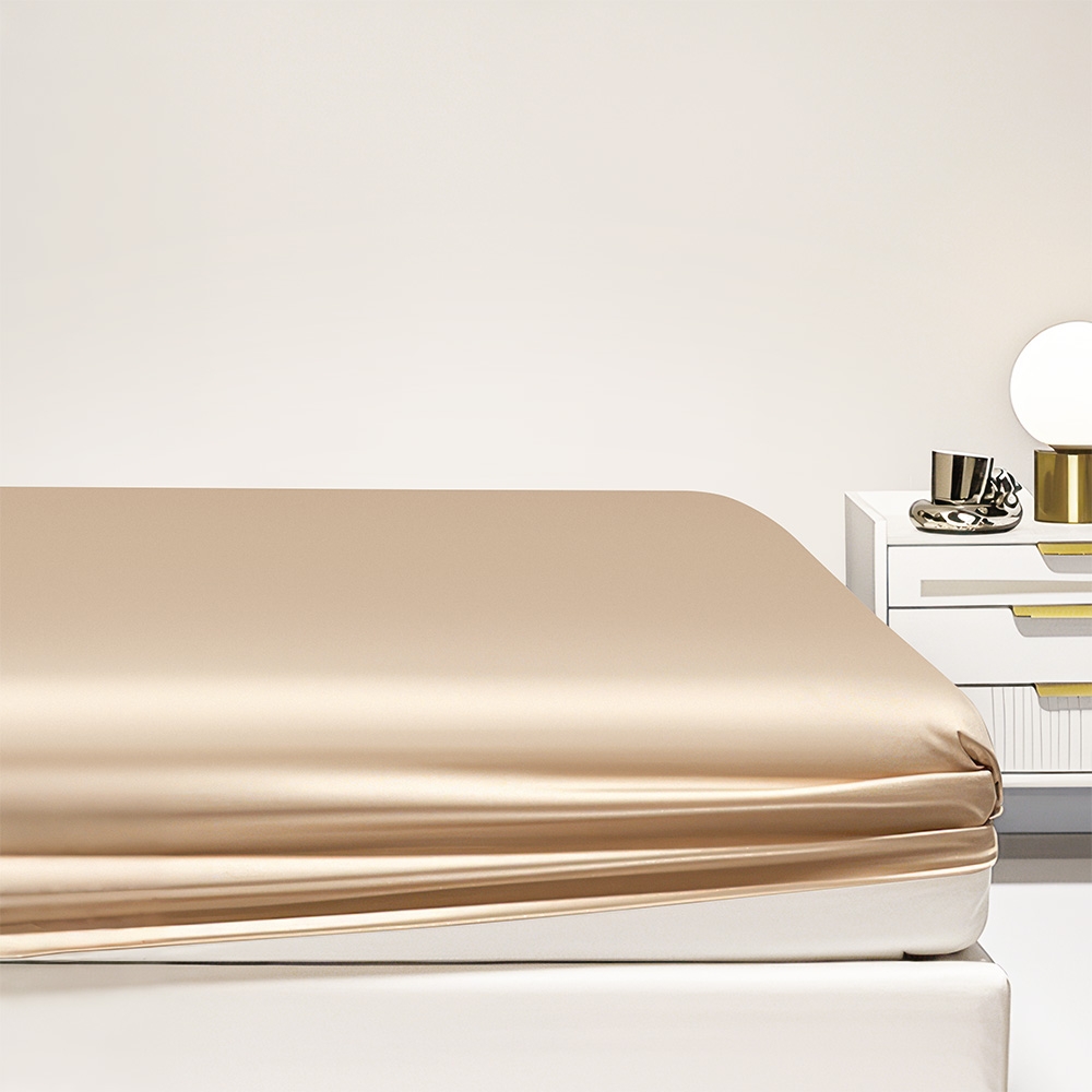 Bộ Ga Gối 100% Tencel ETS07