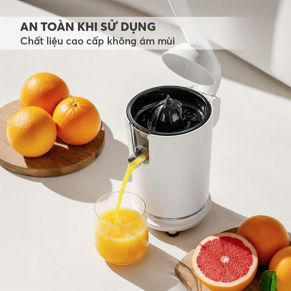4029339 Profile 04